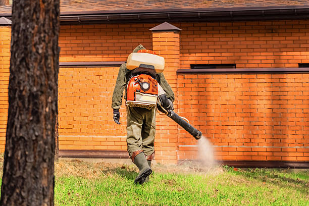 Trusted Bed Bug Control service in Califon, NJ - Nex Pest Control